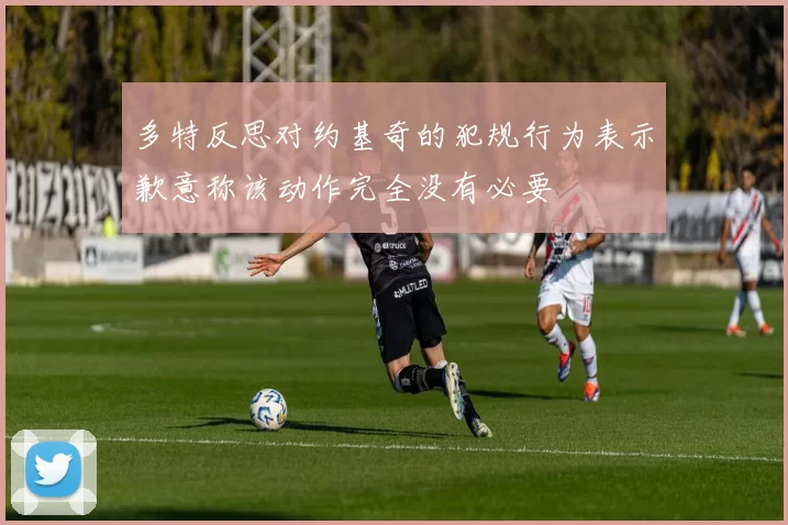 多特反思对约基奇的犯规行为表示歉意称该动作完全没有必要
