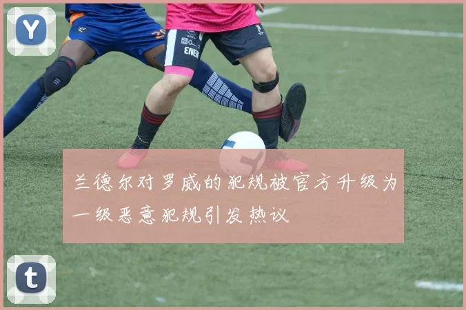 兰德尔对罗威的犯规被官方升级为一级恶意犯规引发热议