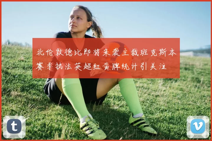 北伦敦德比即将来袭主裁班克斯本赛季执法英超红黄牌统计引关注