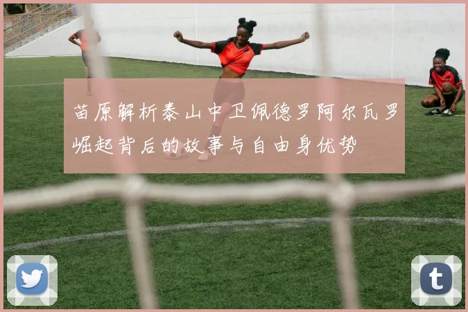 苗原解析泰山中卫佩德罗阿尔瓦罗崛起背后的故事与自由身优势